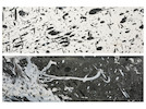 Thumbnail of Shozo Shimamoto (1928-2013) Untitled (Two Works) image 1