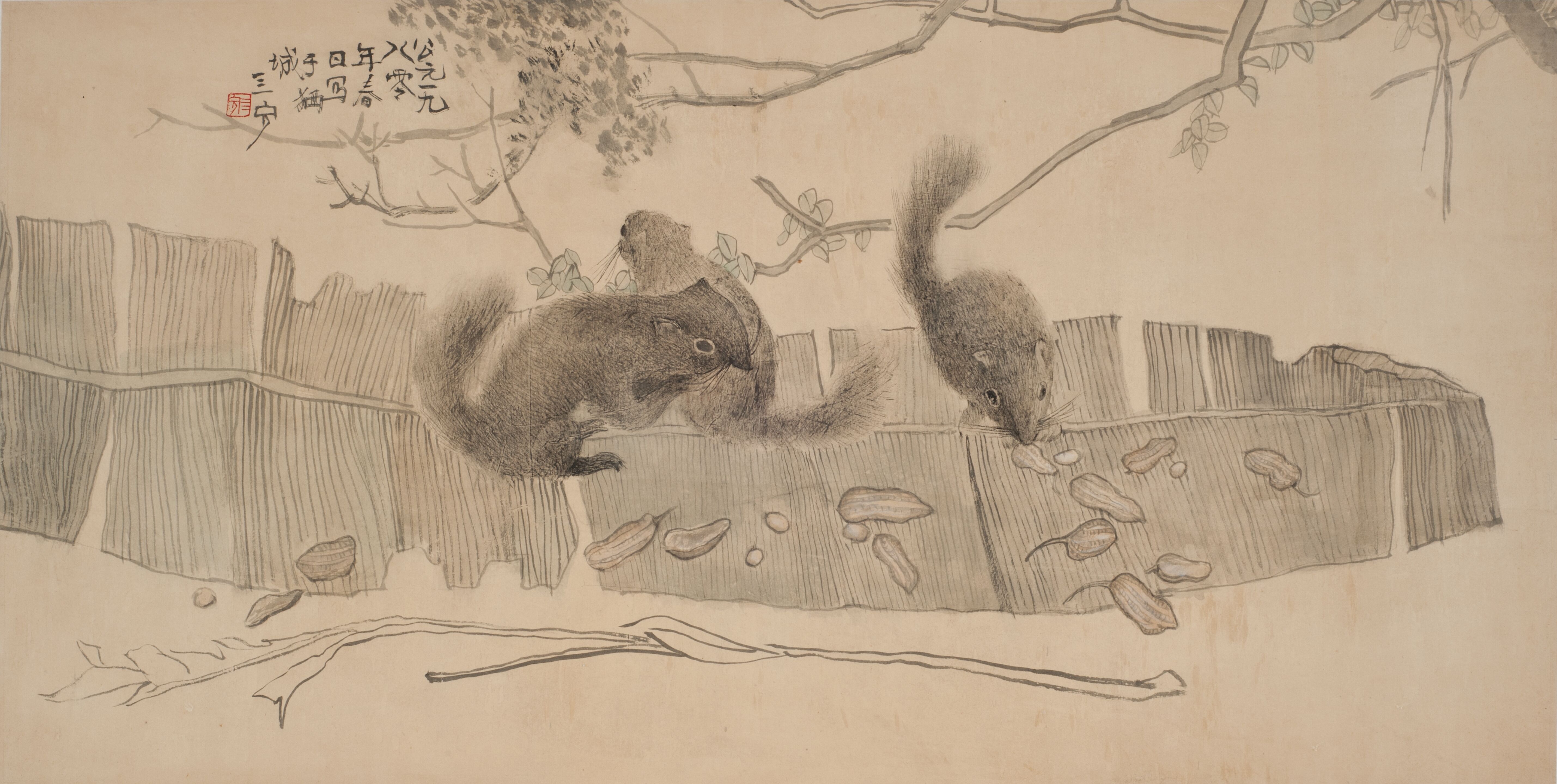 Squirrels