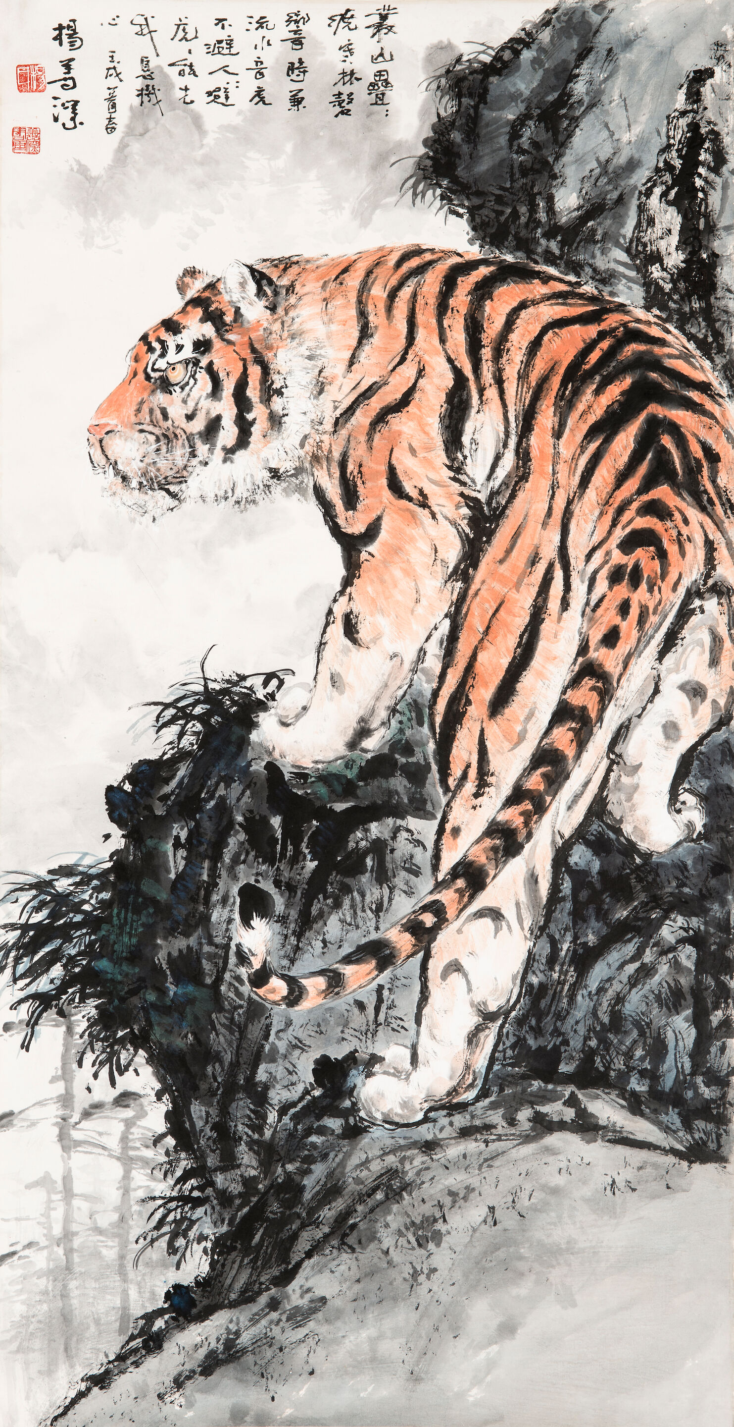 Tiger
