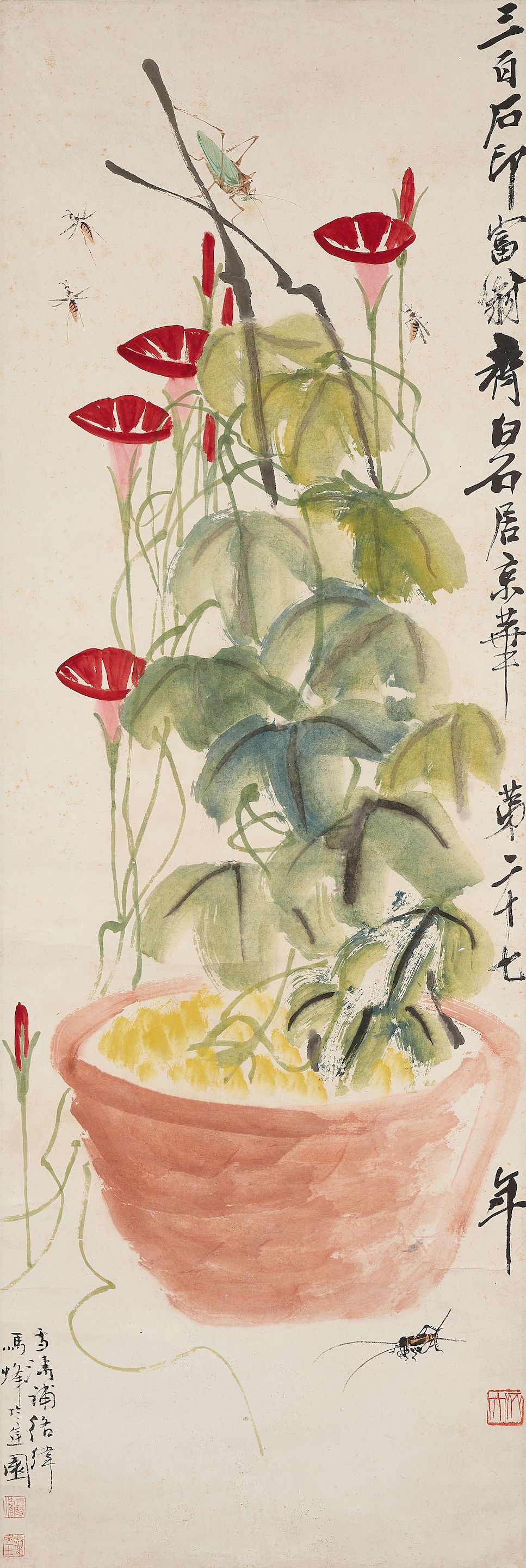 Morning Glory and Insects