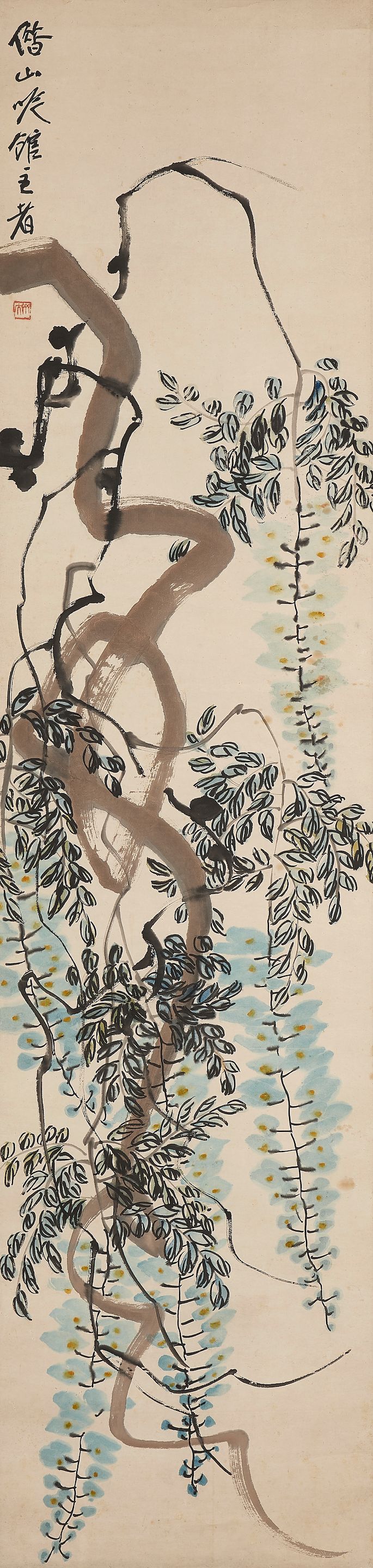 Wisteria