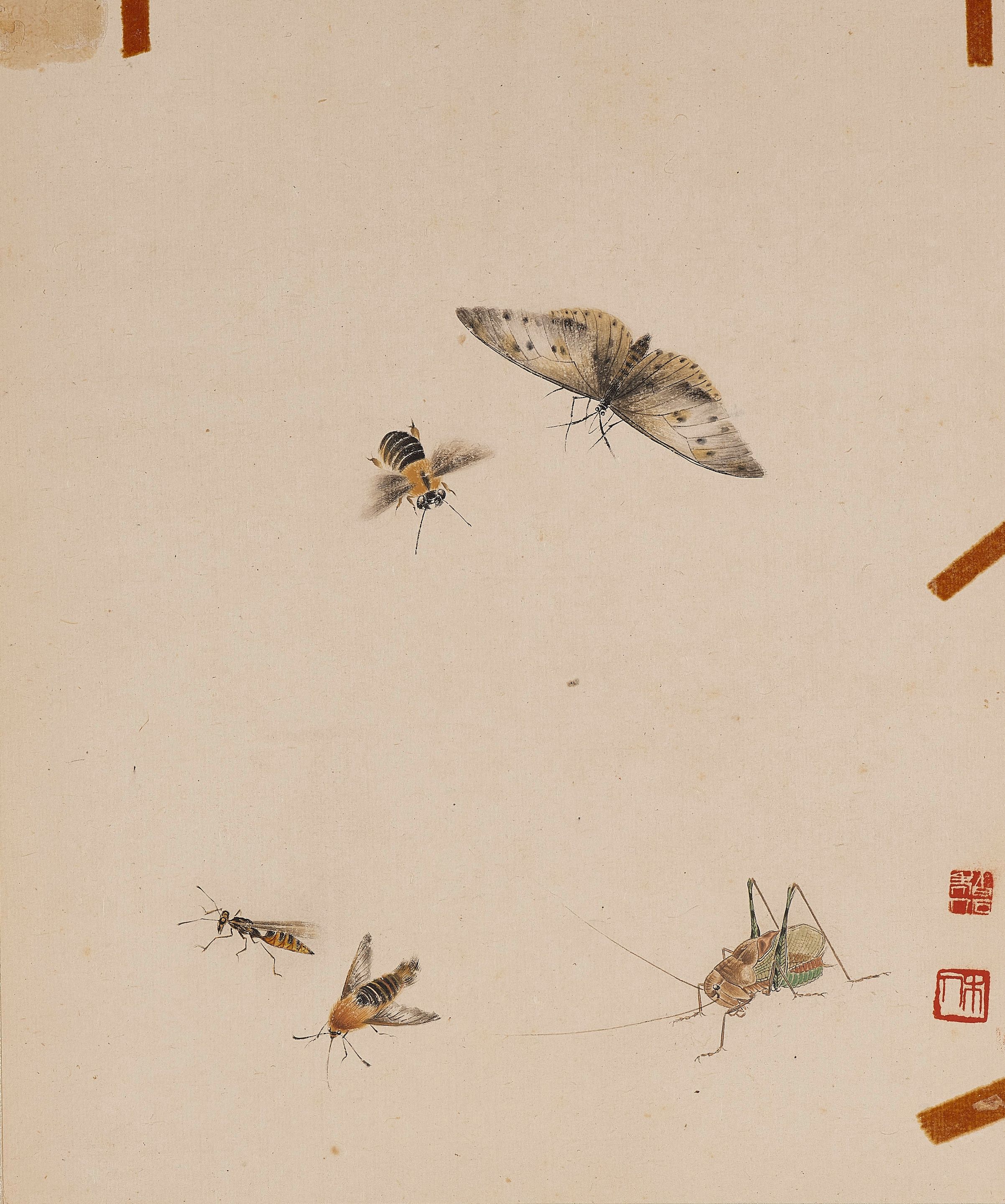 Butterfly, Ant, Moth, Cricket and Bee