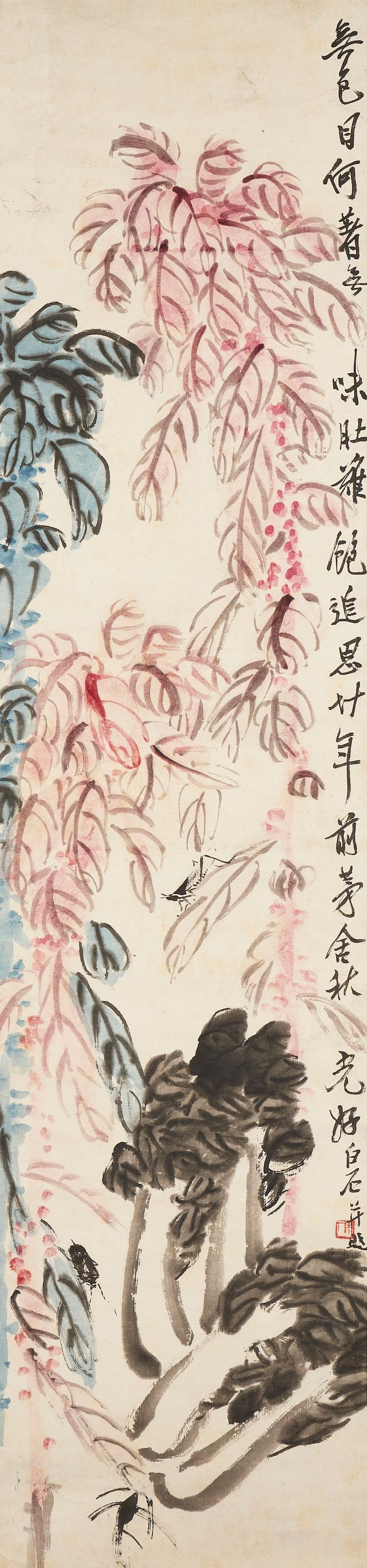 Insects, Cabbage and Amaranth