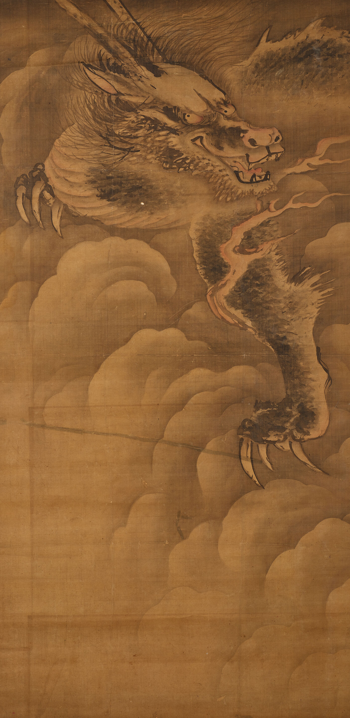 Anonymous Dragon