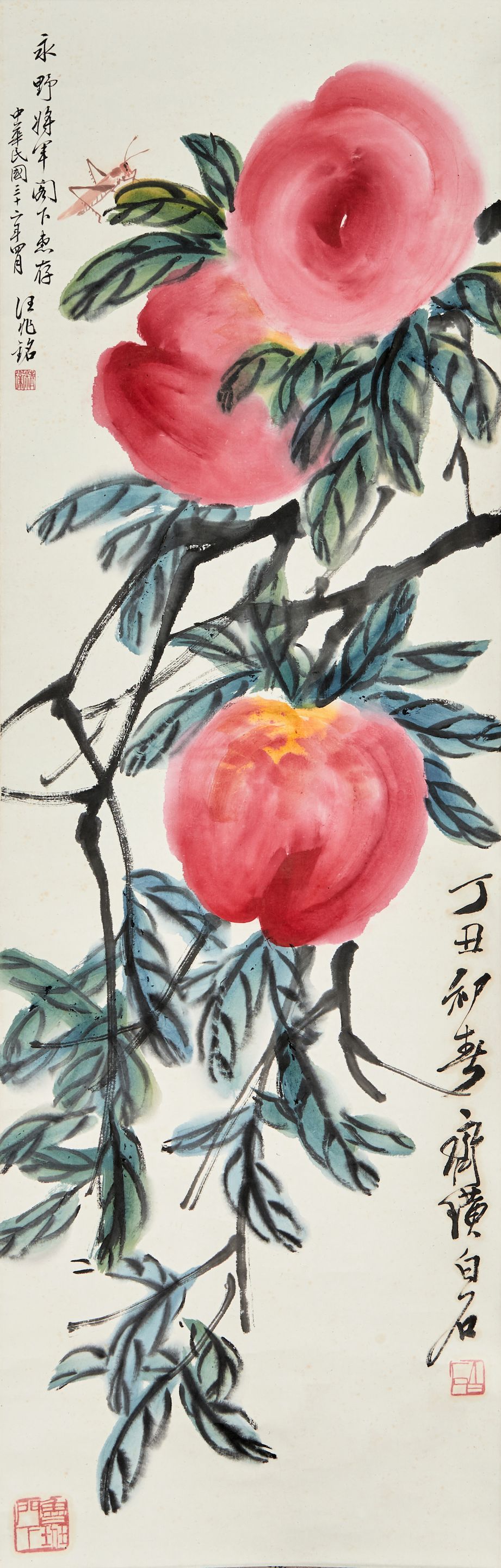 Peaches and Insect