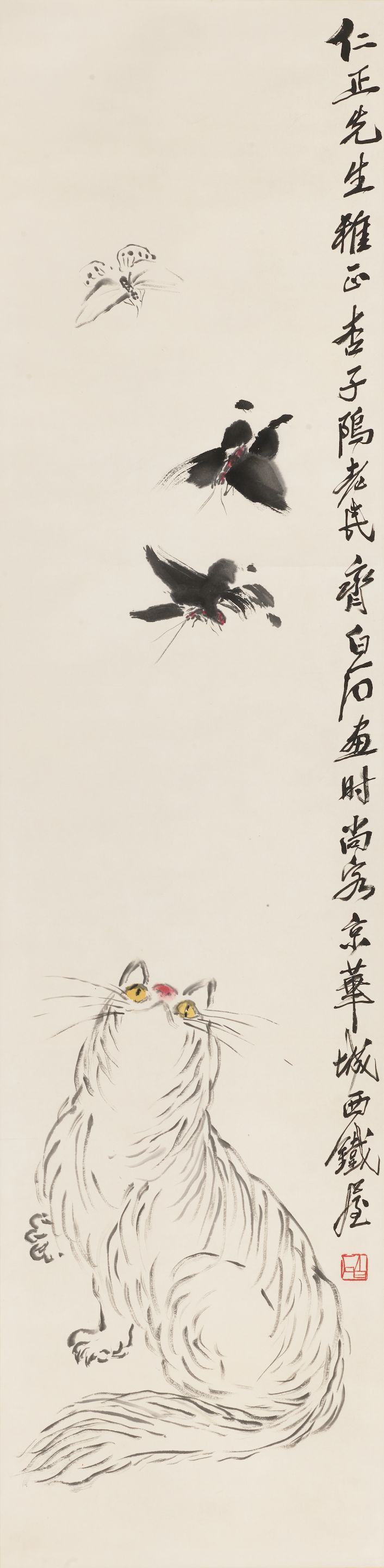 Cat and Butterflies