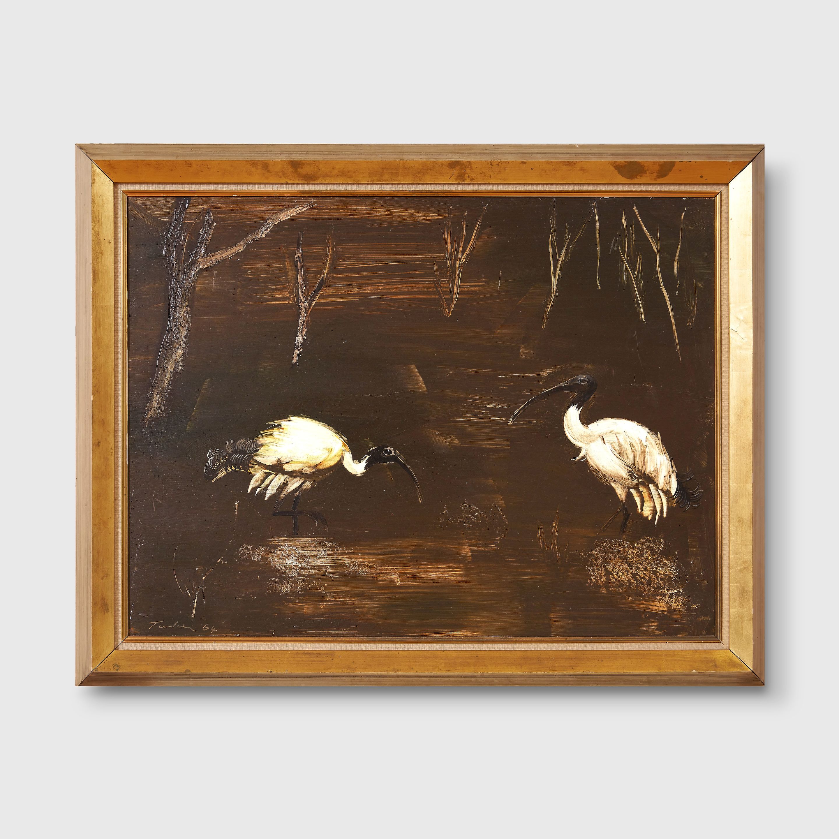 Ibises