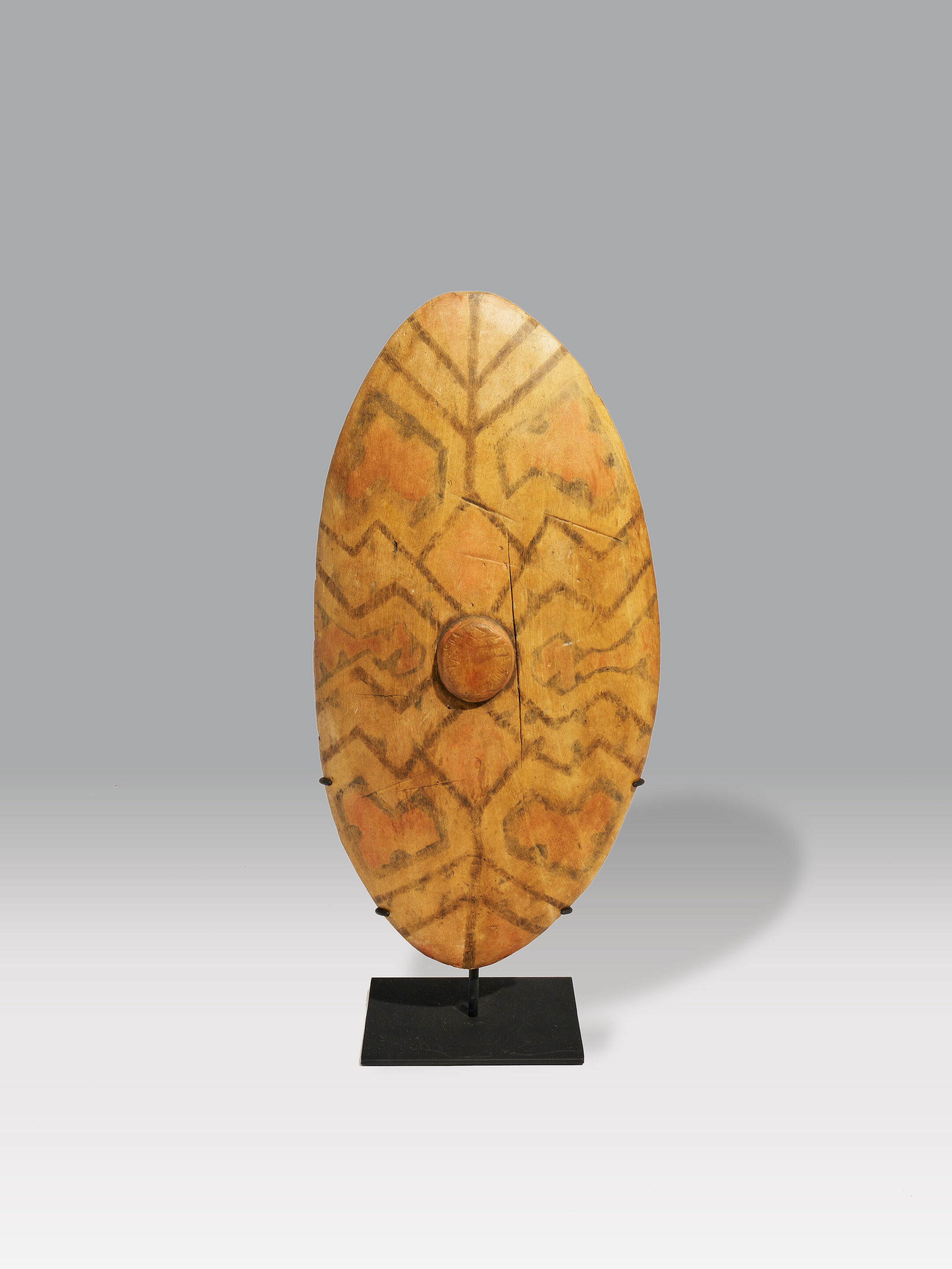 A Rainforest Shield