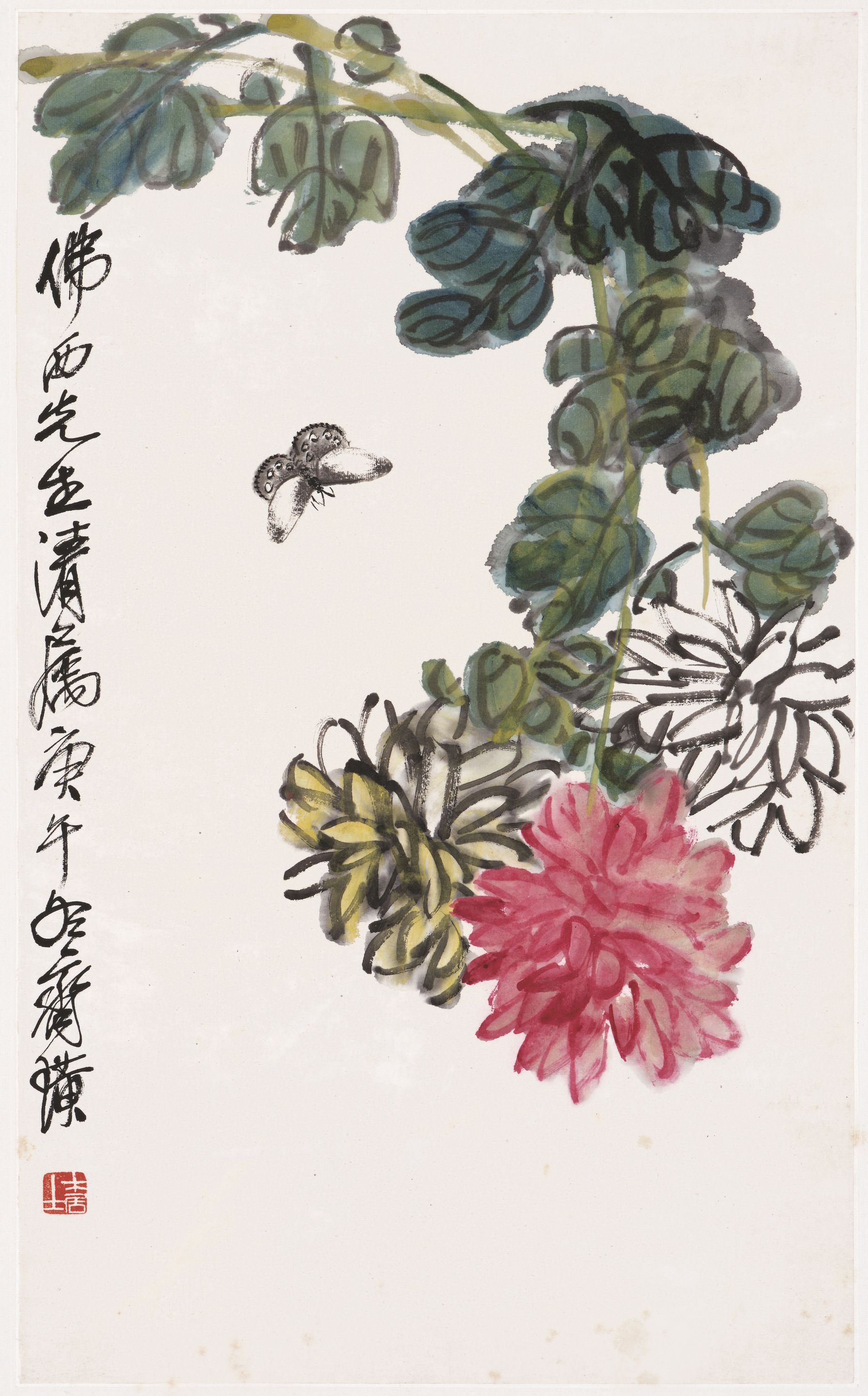 Chrysanthemums and Butterfly