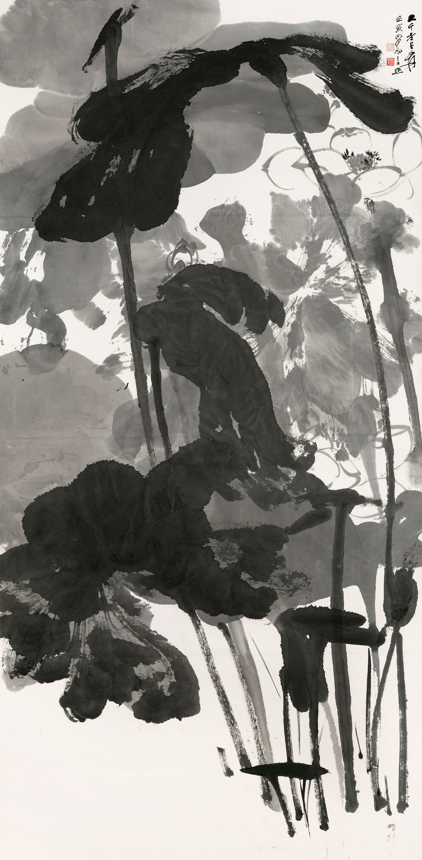 ZHANG DAQIAN, Lotus, 1962