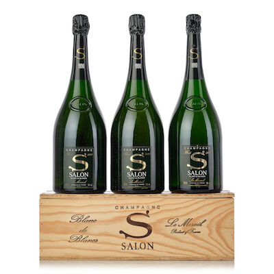 Salon Le Mesnil, 1990 (3x Magnum)