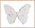Thumbnail of Damien Hirst (B. 1965) Untitled (Butterfly Spin Painting) image 2