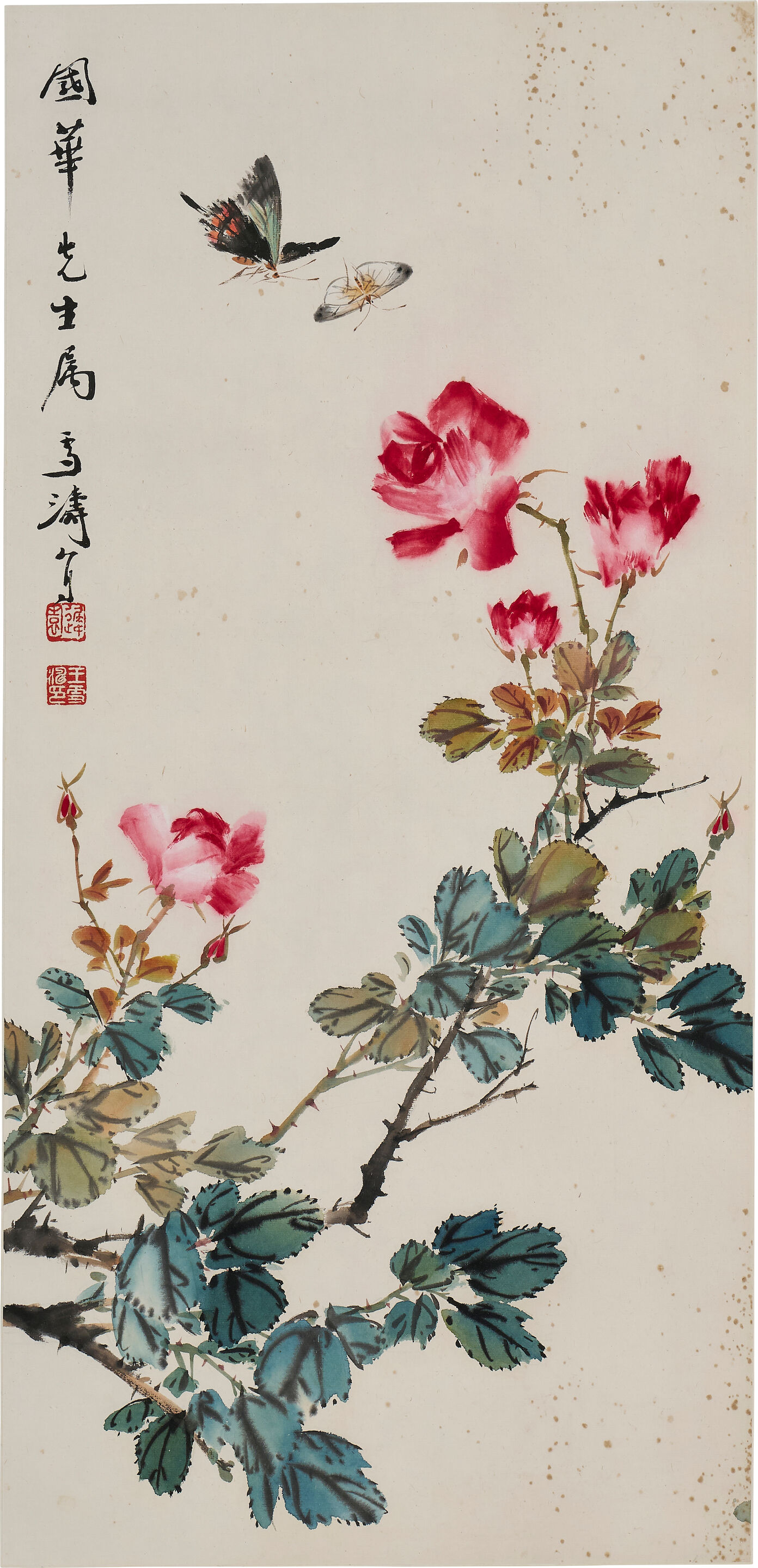 Butterflies and Flowers