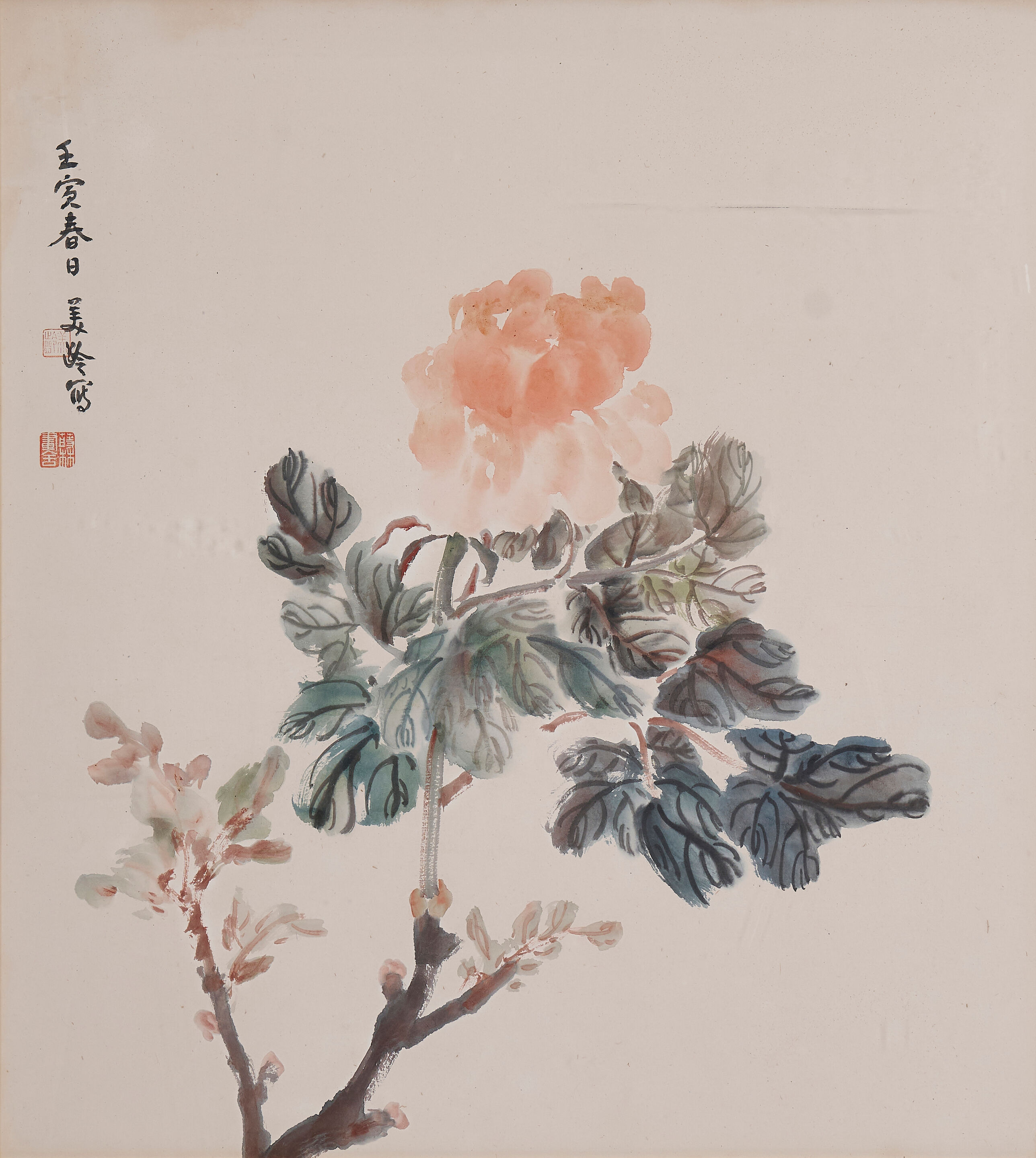 Peony