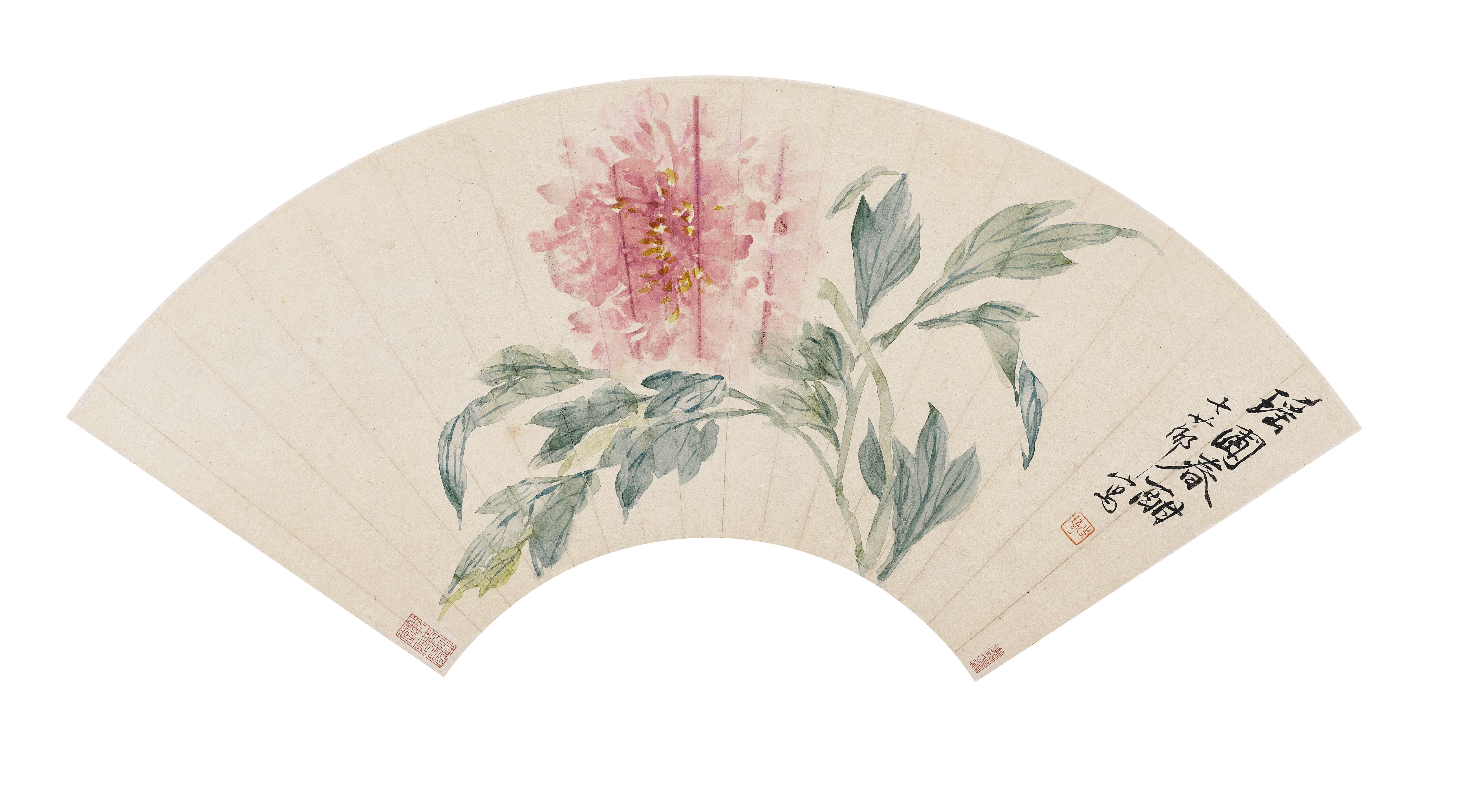 Flower of the Spring