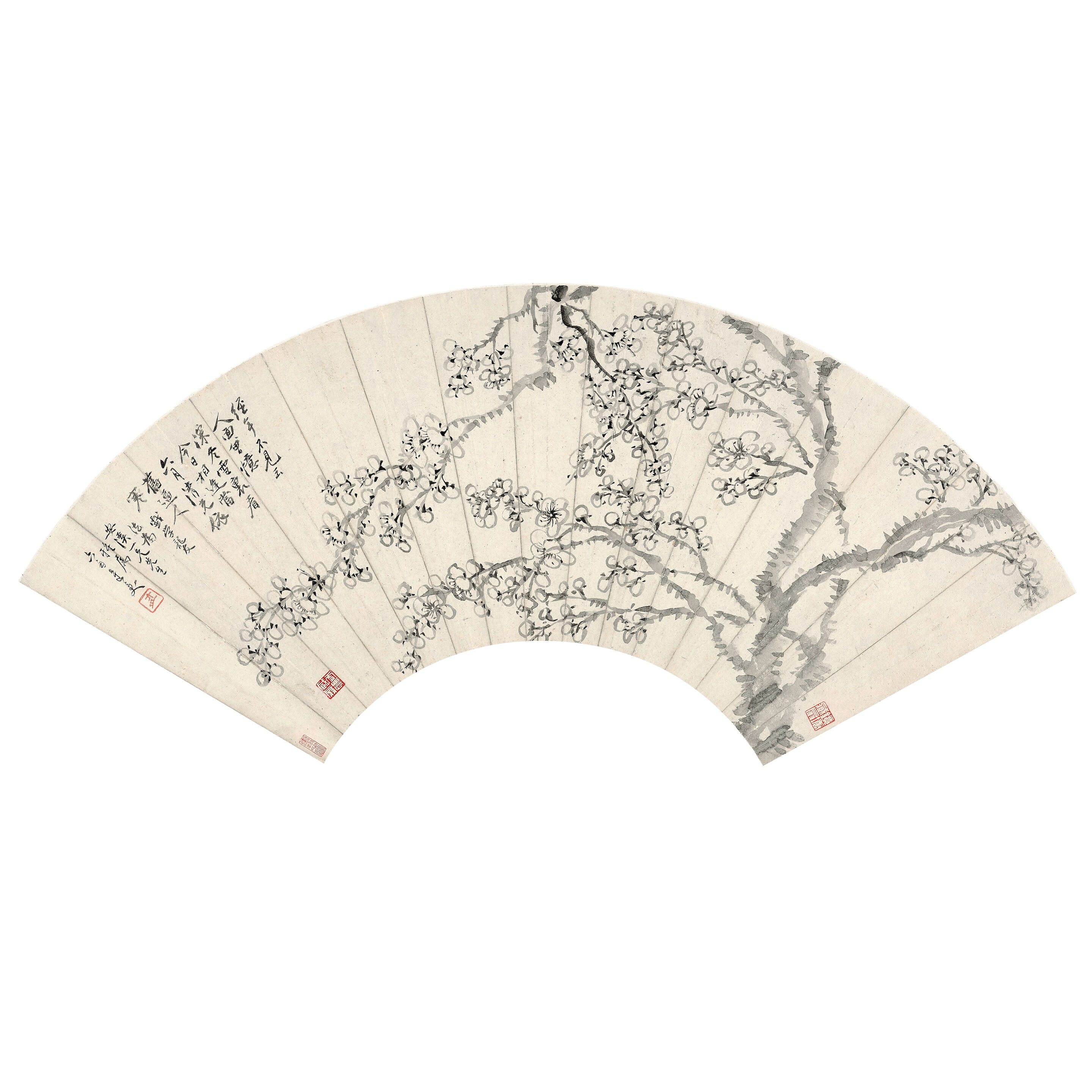 Plum Blossom